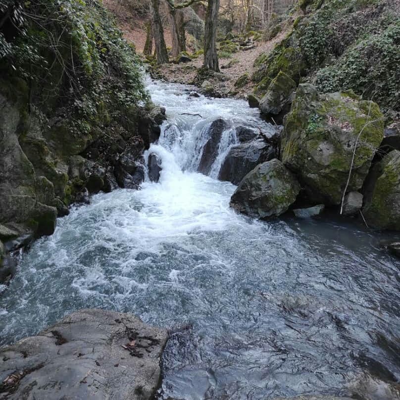 روستای نصفی شهرستان رودبار، نصفی گیلان، نصفی رستم آباد، آلش دشت، تپه ی مارلیک، جام مارلیک، مارلیک رستم آباد